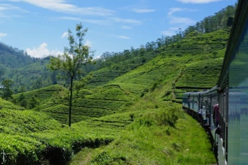 එළඹෙන සති අන්තයේ සිට අධි සුඛෝපභෝගී “ඇල්ල ඔඩෙසි” කරළියට - නැවතුම් ස්ථාන මෙන්න