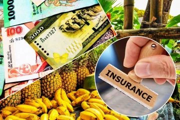 பழச் செய்கையில் ஈடுபடும் விவசாயிகளுக்கு வெளியான நற்செய்தி!