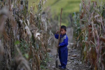 தெருக்களில் அனாதைகளாக குழந்தைகள்! வடகொரியாவில் பட்டினி கிடக்கும் மக்கள்