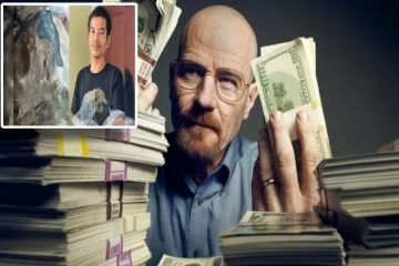 வீட்டில் வேலை செய்ய வந்தவருக்கு அடித்த Luck- ஒரே இரவில் கோடீஸ்வரரானது எப்படி?