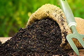 இறக்குமதி செய்யப்படவுள்ள சேதன பசளைகள்