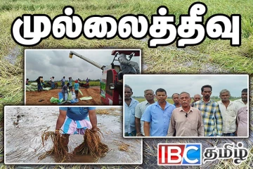 தமிழர் பகுதியில் அழிந்து வரும் வயல் நிலங்கள் : விவசாயிகள் கடும் விசனம்