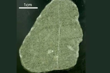 உலகுக்கு விடுக்கும் எச்சரிக்கை விடுக்கும் சிறிய பச்சை கல்