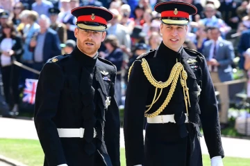 எங்கள் தாயாரின் மறைவுக்கு இது தான் முதன்மை காரணம்: கொந்தளித்த இளவரசர் வில்லியம்- ஹரி