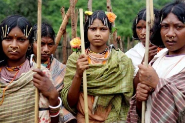 பன்றி ரத்தம் குடிச்சாதான் கல்யாணமாம்; மாமனாரை வேற இம்ப்ரெஸ் பண்ணனுமாம் - விநோத சடங்கு!