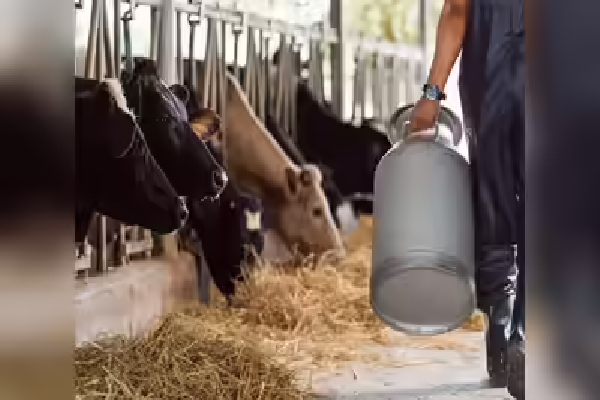 இலங்கையில் விவசாயத்துறையில் முதலிட சீனா ஆர்வம் | Chinas Interest In Agriculture In Sri Lanka