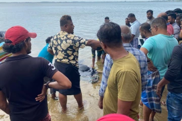 கிண்ணியா கடற்கரையில் பெண்ணொருவரின் சடலம்