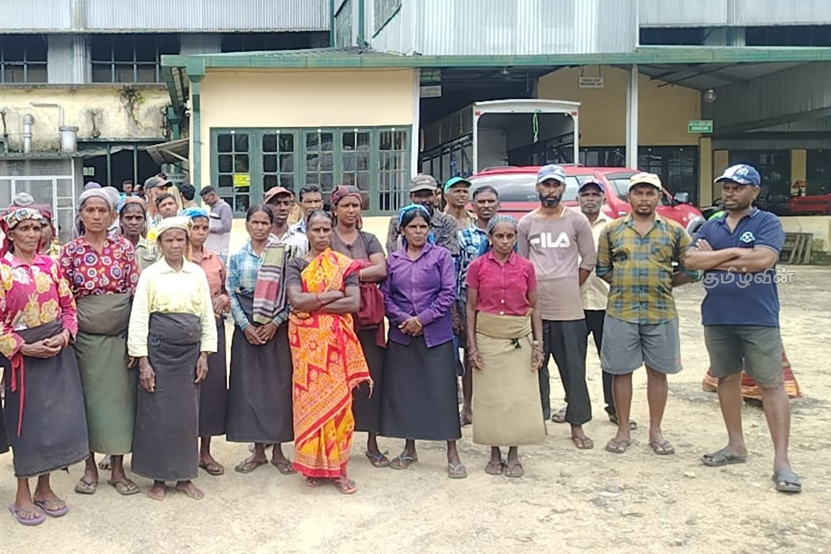 600 தோட்டத் தொழிலாளர்கள் வேலைநிறுத்தம் - நிர்வாகத்திடம் முன்வைக்கப்பட்ட கோரிக்கை | 600 Plantation Workers On Strike