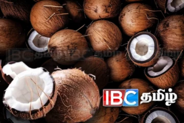 நாட்டில் நிலவும் தேங்காய் தட்டுப்பாடு: முன்னெடுக்கப்படவுள்ள நடவடிக்கை