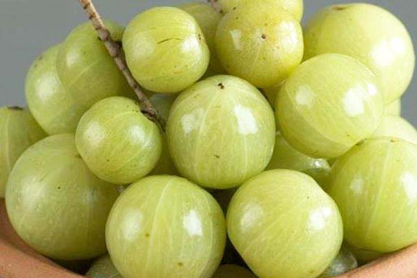 எந்தவொரு நோயும் தாக்காமல் இருக்கணுமா? தினமும் ஒரு நெல்லிக்காய் சாப்பிட்டால் போதும் | Daily Eat One Amla Lot Of Benefits Our Body