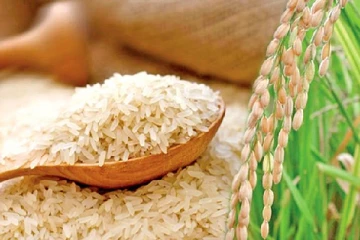 அரிசியின் விலை அதிகரிக்கக்கூடும் - அரிசி உற்பத்தியாளர் சங்கம் எச்சரிக்கை!