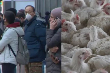 இந்தியாவில் இருந்து வெளிநாடு சென்ற குழந்தைக்கு பறவைக் காய்ச்சல்: இது இரண்டாவது சம்பவம்