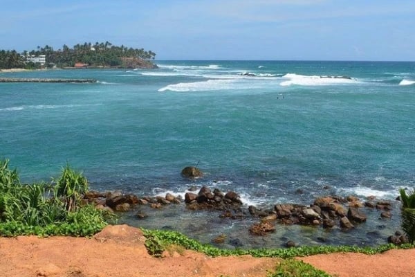 இலங்கைக்கு மனைவியுடன் வந்த ஜெர்மனிய பிரஜைக்கு நேர்ந்த கதி | Germany Man Dies In Sri Lanka