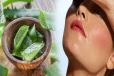 எண்ணெய் வடியும் சருமமா? கற்றாழையை இப்படி பயன்படுத்துங்க