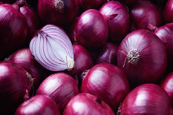 எகிறியது வெங்காய விலை! | Onion Price Jumped