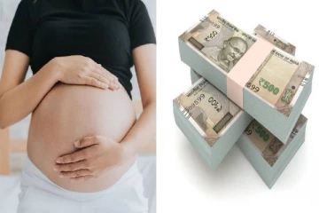 பெண்களை கர்ப்பமாக்கும் ஆண்களுக்கு ரூ.13 லட்சம்.. “All India pregnant job agency" என்ற பெயரில் நூதன மோசடி