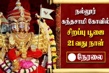 யாழ்பாணம் நல்லூர் கந்தசாமி கோவில் சிறப்பு பூஜை 21வது நாள் - நேரலையில் சிறப்பான தரிசனம்