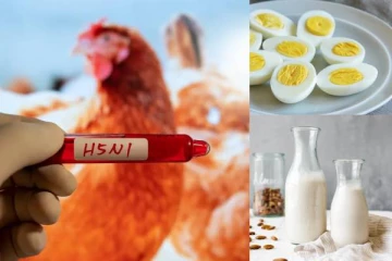 பறவை காய்ச்சல் எச்சரிக்கை..! பால், முட்டைகளை உட்கொள்ளலாமா?