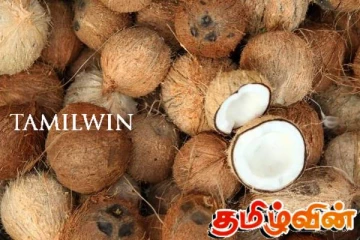 அவசரப்பட்டு தேங்காய்களைக் கொள்வனவு செய்ய வேண்டாம்! அரசாங்கம் அறிவிப்பு