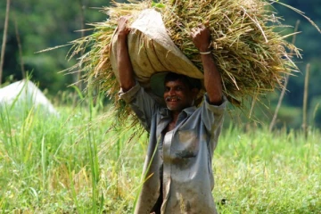 விவசாயிகளிற்கு மகிழ்ச்சியான அறிவிப்பு;  கடனை முழுமையாக தள்ளுபடிசெய்ய தீர்மானம்!
