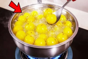 தினமும் வேகவைத்த நெல்லிக்காயைச் சாப்பிட்டால் என்ன நன்மை?