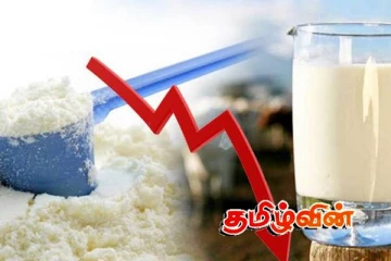 பால்மா விலை குறைப்பு தொடர்பில் வெளியான தகவல்!