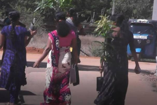 வாழைச்சேனையில் போராட்டத்தை கைவிட்ட விவசாயிகள்! | Farmers Abandon Struggle Valaichchenai Fertiliser