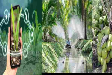 விவசாயத்தை விஸ்தரிக்கும் வகையில் அறிமுகமாகிறது புதிய செயலி : வடக்கு ஆளுநர் உறுதி!