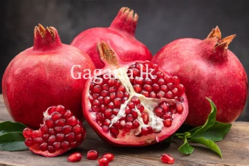 නව දෙළුම් ප්‍රභේද හඳුන්වා දෙයි.