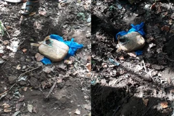 வடமராட்சியில் கஞ்சாவுடன் 3 பேர் கைது (PHOTOS)