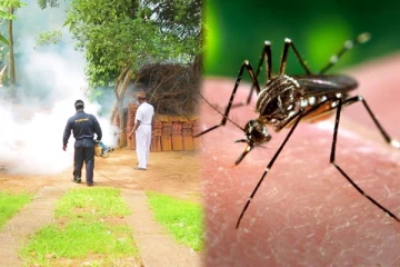 உயர்தரப் பரீட்சை வளாகங்களில் டெங்கு ஒழிப்பு வேலைத்திட்டம்