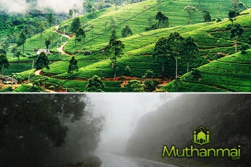 நாட்டின் மிகக்குறைந்த வெப்பநிலை நுவரெலியாவில் பதிவு