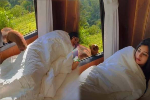 இன்னும் என்ன தூக்கம்? ஆழ்ந்த நித்திரையில் இருந்த பெண்ணுக்கு யானை கொடுத்த ஷாக் | Elephant Wakes Up Women Sleeping