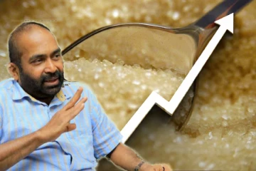 சீனி விலை தொடர்பில் நிதி இராஜாங்க அமைச்சர் விடுத்துள்ள எச்சரிக்கை