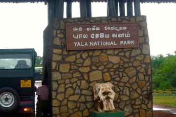 யால வனப்பகுதியில் காணாமல் போன மலேசிய சுற்றுலா பயணி!