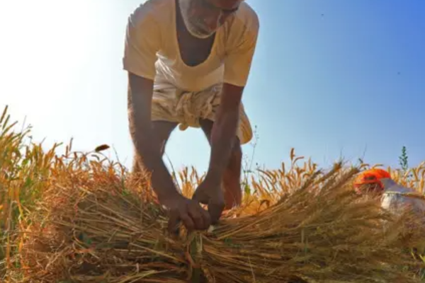 கிளிநொச்சி விவசாயிகளிடம் இருந்து பெறப்பட்ட பணம் குறித்து முன்வைக்கப்பட்டுள்ள கோரிக்கை | Amount Collected Farmers In Kilinochchi Seasons