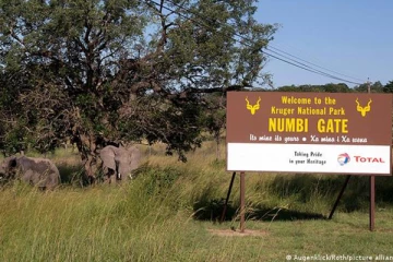 வெளிநாட்டிற்கு சுற்றுலா சென்ற ஜேர்மானியர் சுட்டுக் கொலை: விவரம் செய்திக்குள்...