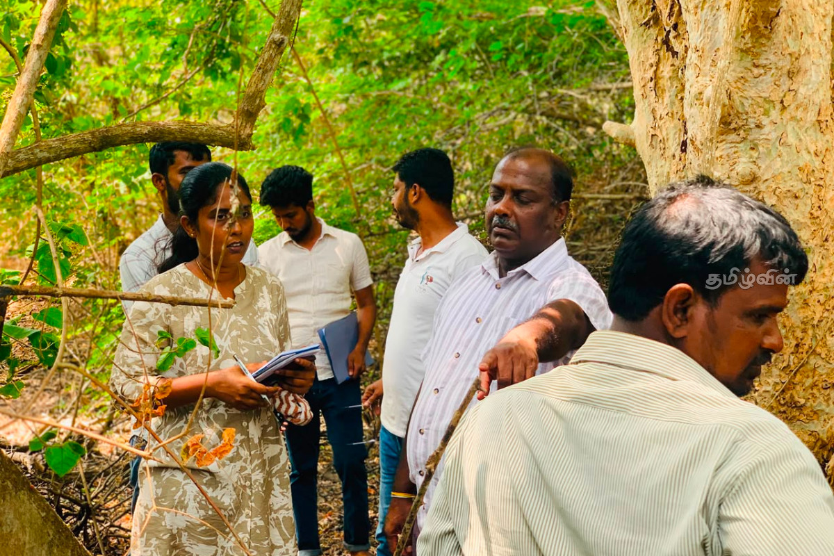 மன்னார் மாவட்டத்திலுள்ள 10 குளங்களை முழுமையாக புனரமைப்பு செய்ய நடவடிக்கை..! | Steps To Completely Renovate 10 Ponds In Mannar மன்னார் மாவட்டத்திலுள்ள 10 குளங்களை முழுமையாக புனரமைப்பு செய்ய நடவடிக்கை..! | Steps To Completely Renovate 10 Ponds In Mannar