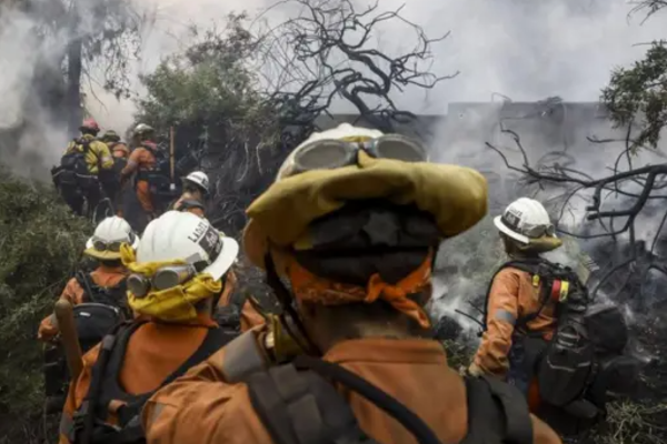 ஸ்பெயினில் ஏற்பட்ட காட்டுத்தீயில் சிக்கி ஒருவர் பலி | One Person Killed In Wildfires In Spain