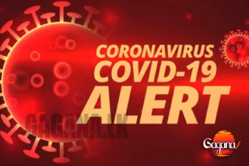 කොවිඩ් රෝගීන් වාර්තා වීම ඉහලට