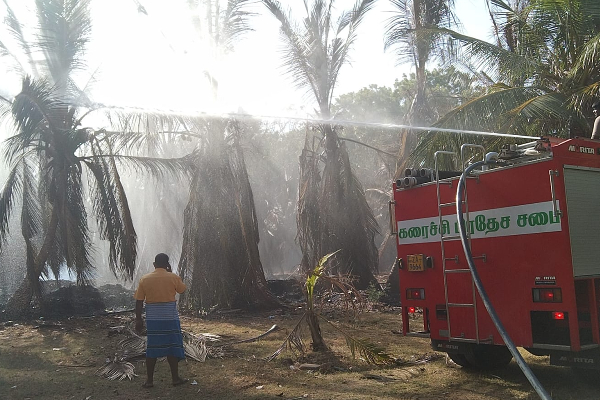 திடீரென பரவிய தீயினால் பயன்தரு தென்னைகள் கருகின! | Incidents Of Forest Fires On The Rise In Kilinochi
