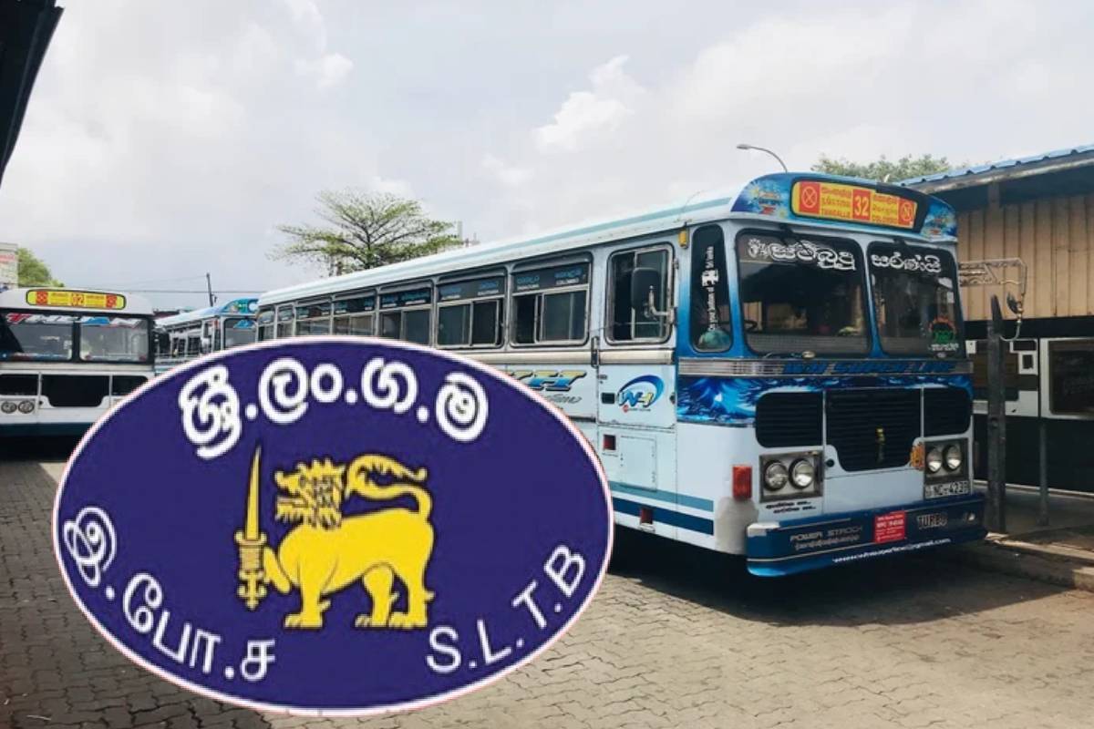 டிப்போக்கள் மூலம் எரிபொருள் வழங்கும் முறையால் தனியார் பேருந்து சேவைகள் முடங்கும் அபாயம் | Private Bus Services Risk Due Fuel Supply System