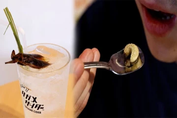 வறுத்த கரப்பான்களும், புழுக்களையும் சமைத்து ஓஹோனு செல்லும் பிரபலமான ஹோட்டல்!