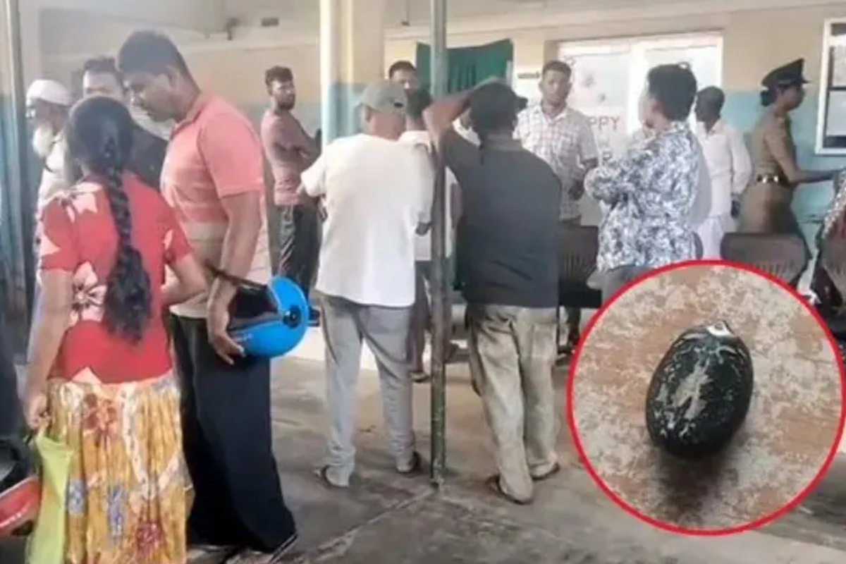 நச்சு விதைகளை உட்கொண்ட 22 மாணவர்கள் வைத்தியசாலையில் | 22 Students Hospitalised In Kantale நச்சு விதைகளை உட்கொண்ட 22 மாணவர்கள் வைத்தியசாலையில் | 22 Students Hospitalised In Kantale