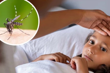 69,000 ஐ தாண்டிய டெங்கு நோயர்களின் எண்ணிக்கை