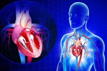 இருதய ரத்தநாள திசுக்களை தாக்கும் கோவிட் வைரஸ்! உலக சுகாதார அமைப்பு விடுத்துள்ள எச்சரிக்கை