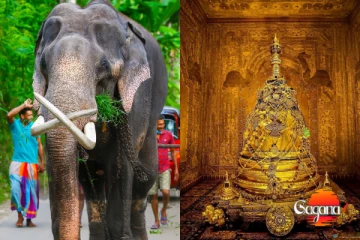 මෙදා උත්තම සදාතුක දළදා කරඬුව වඩම්මන්න වාසනාව ලැබූ හස්තිරාජයා මෙන්න [PHOTOS]