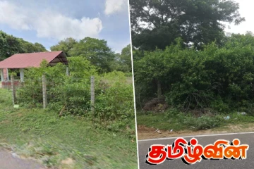 பற்றைக்காடாக காட்சியளிக்கும் விளாவெளி இந்து மயானம் : விடுக்கப்பட்ட கோரிக்கை