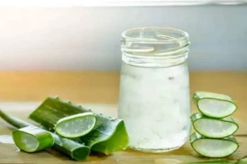 சோற்று கற்றாழையை அதிகமாக பயன்படுத்தினால் ஏற்படும் விளைவுகள் என்ன?