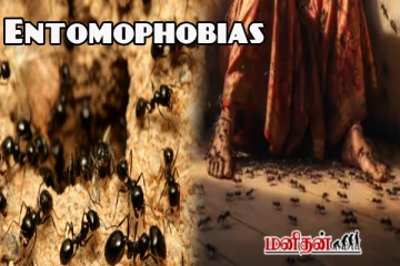 எறும்பை பார்த்து கணவருக்கு கடிதம் எழுதிவிட்டு உயிர்துறந்த பெண் - நடந்தது என்ன?